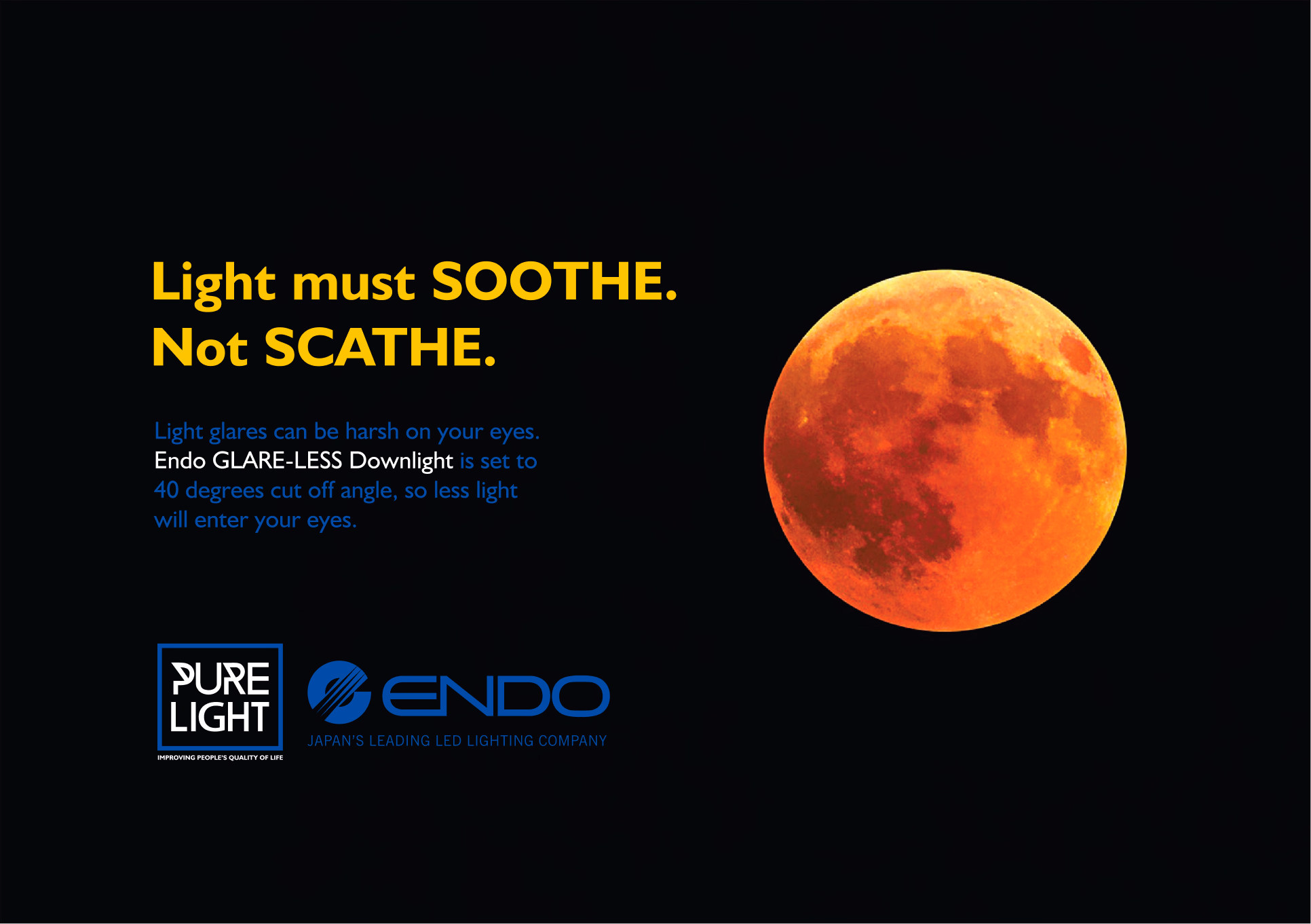 Endo Lighting visual 3